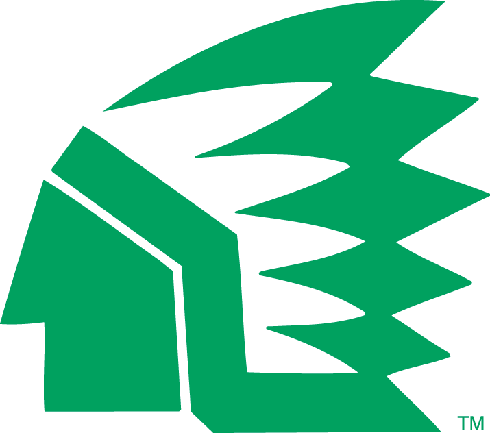 North Dakota Fighting Sioux 1976-1999 Primary Logo diy fabric transfer